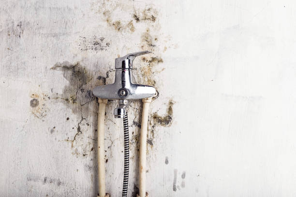 Professional Mold Removal in Spackenkill, NY
