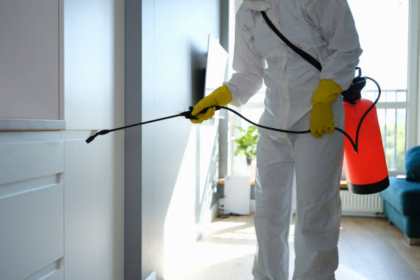 Best Mold Cleaning Services  in Spackenkill, NY