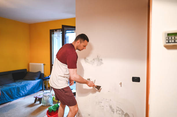 Best Toxic Mold Removal  in Spackenkill, NY